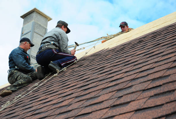 Best New Roof Installation  in Mount Vernon, NY